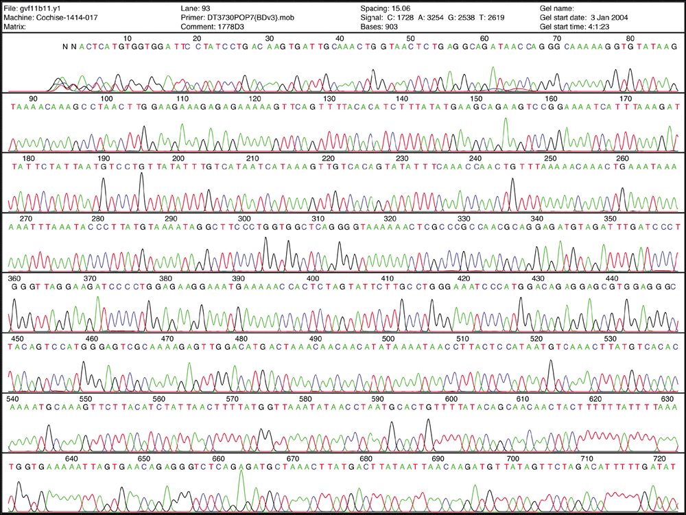 DNA sequencing chromatogram